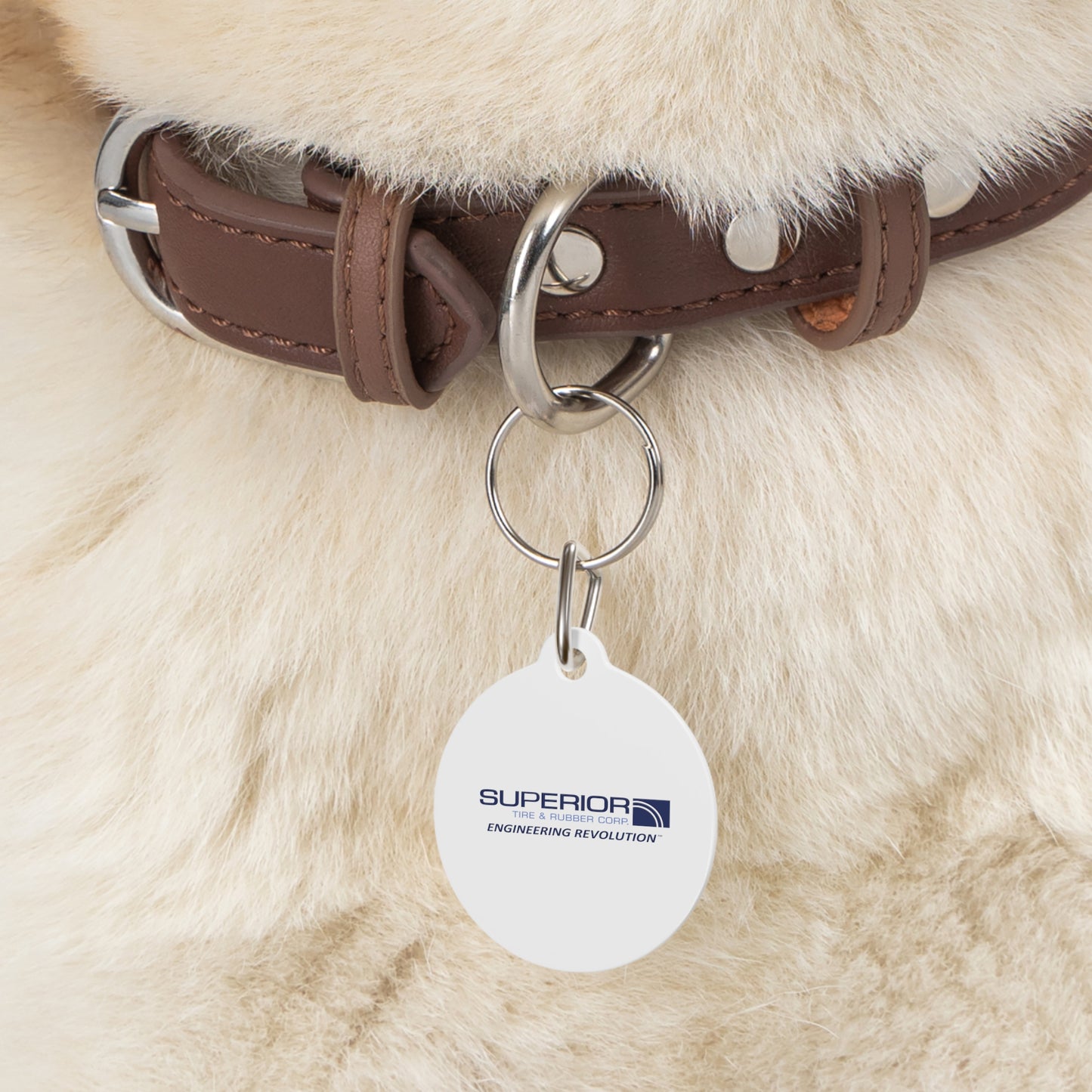 Pet Tag